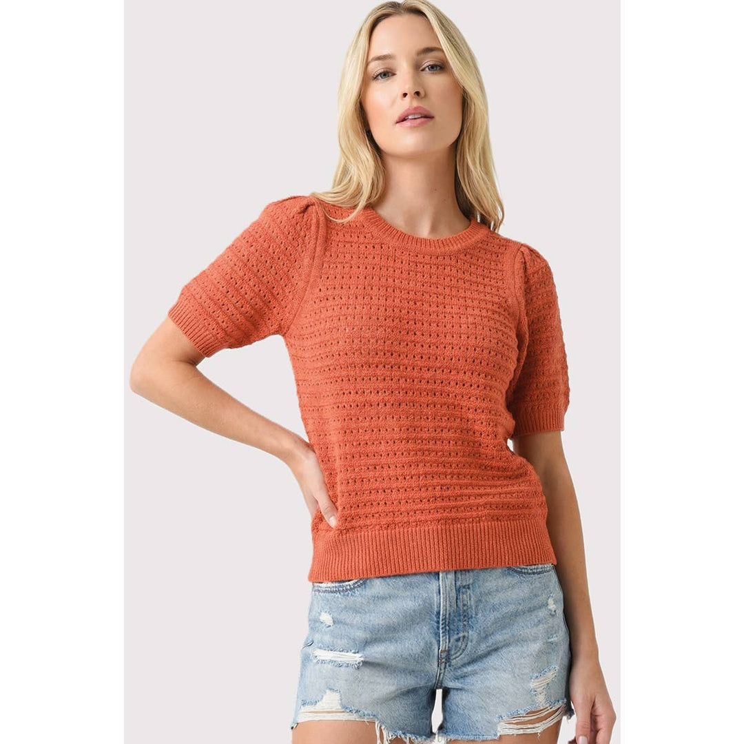 Ellie Pointelle Sweater
