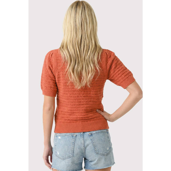 Ellie Pointelle Sweater