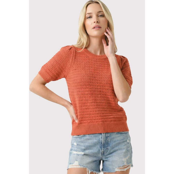 Ellie Pointelle Sweater